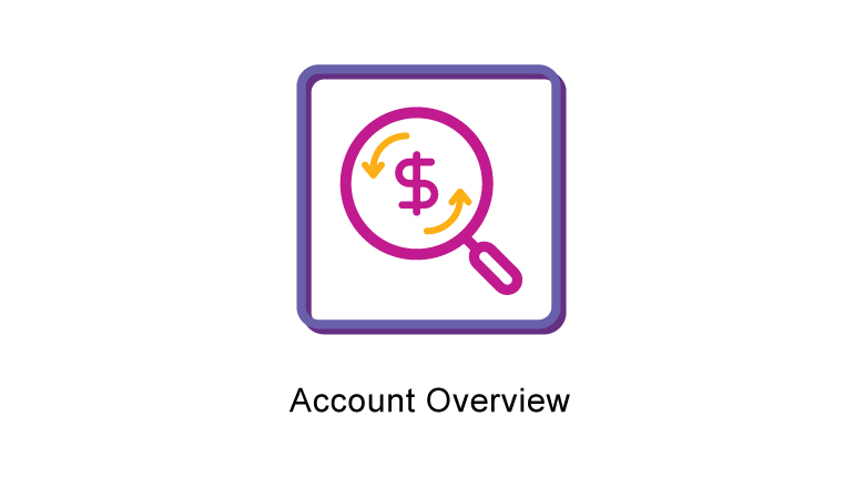 Account Overview